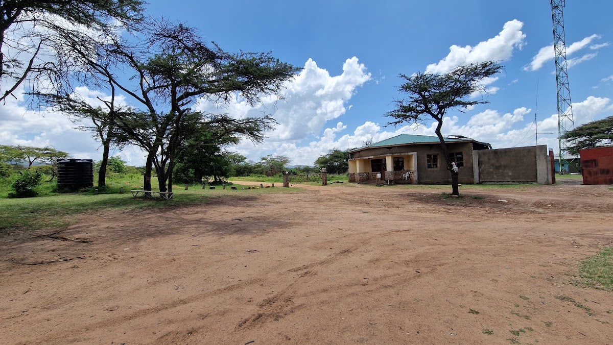 Africa Safari Serengeti Bologonja
