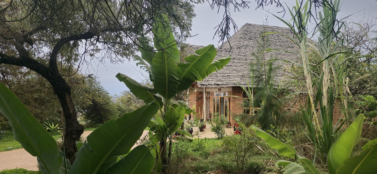 Mamadunia Safari Lodge