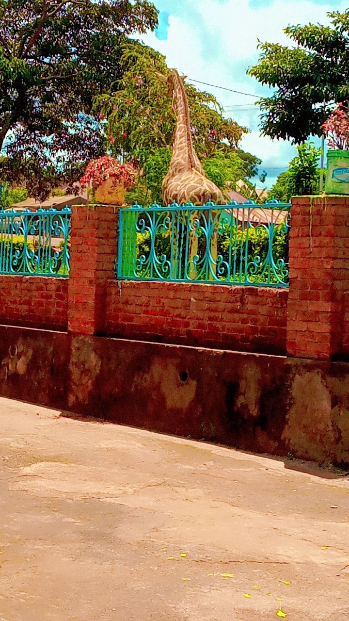 ATA Safaris Lodge - Hotels in Karatu