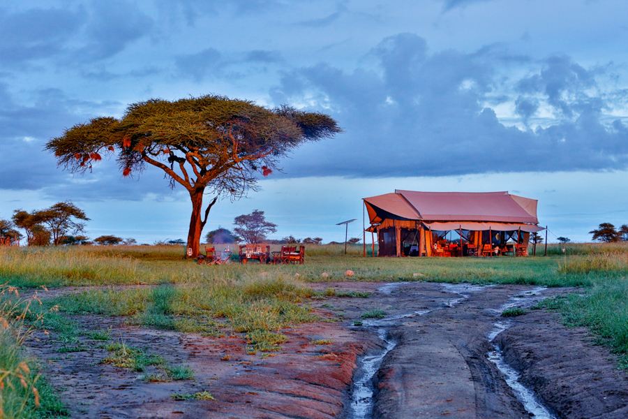 Pumzika Luxury Safari Camp