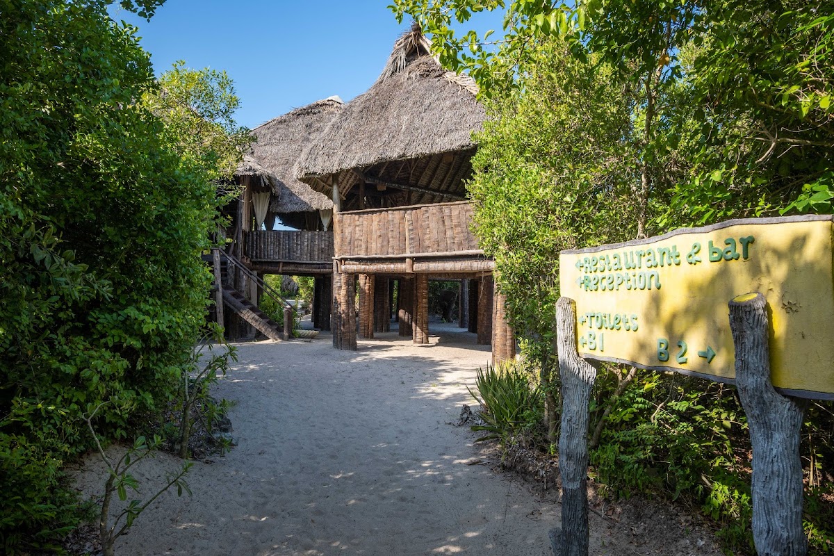 Simply Saadani Camp | A Tent with a View Safaris