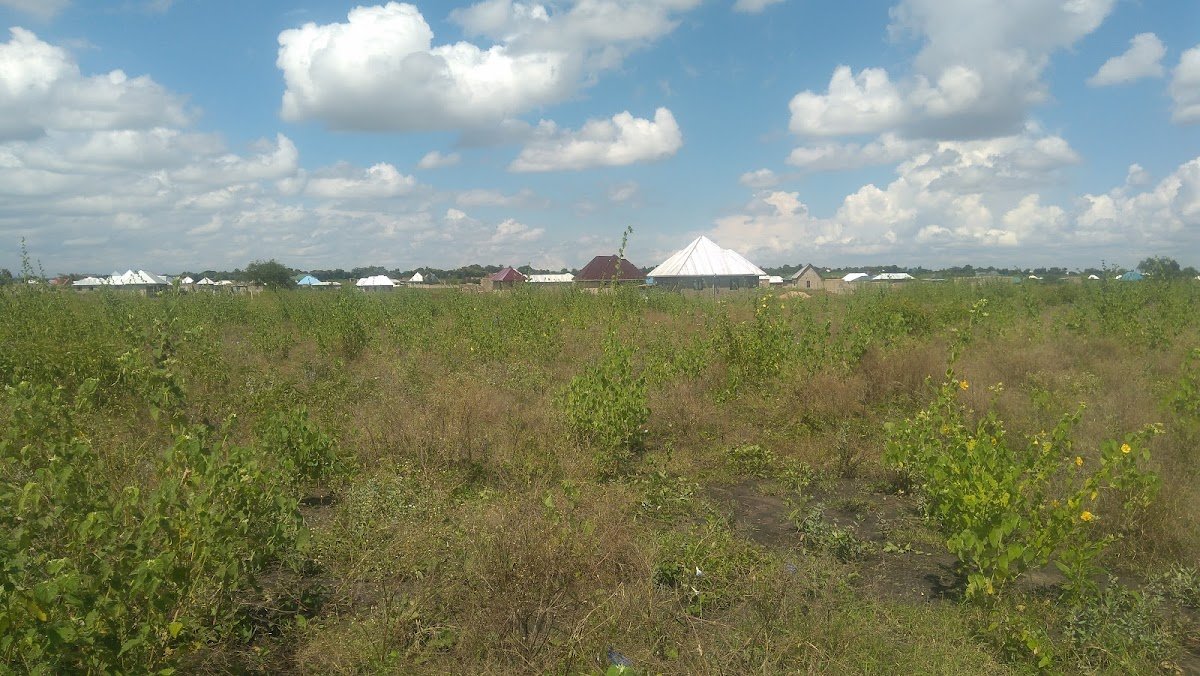 Andrew Real Estates Arusha Tanzania photo 10