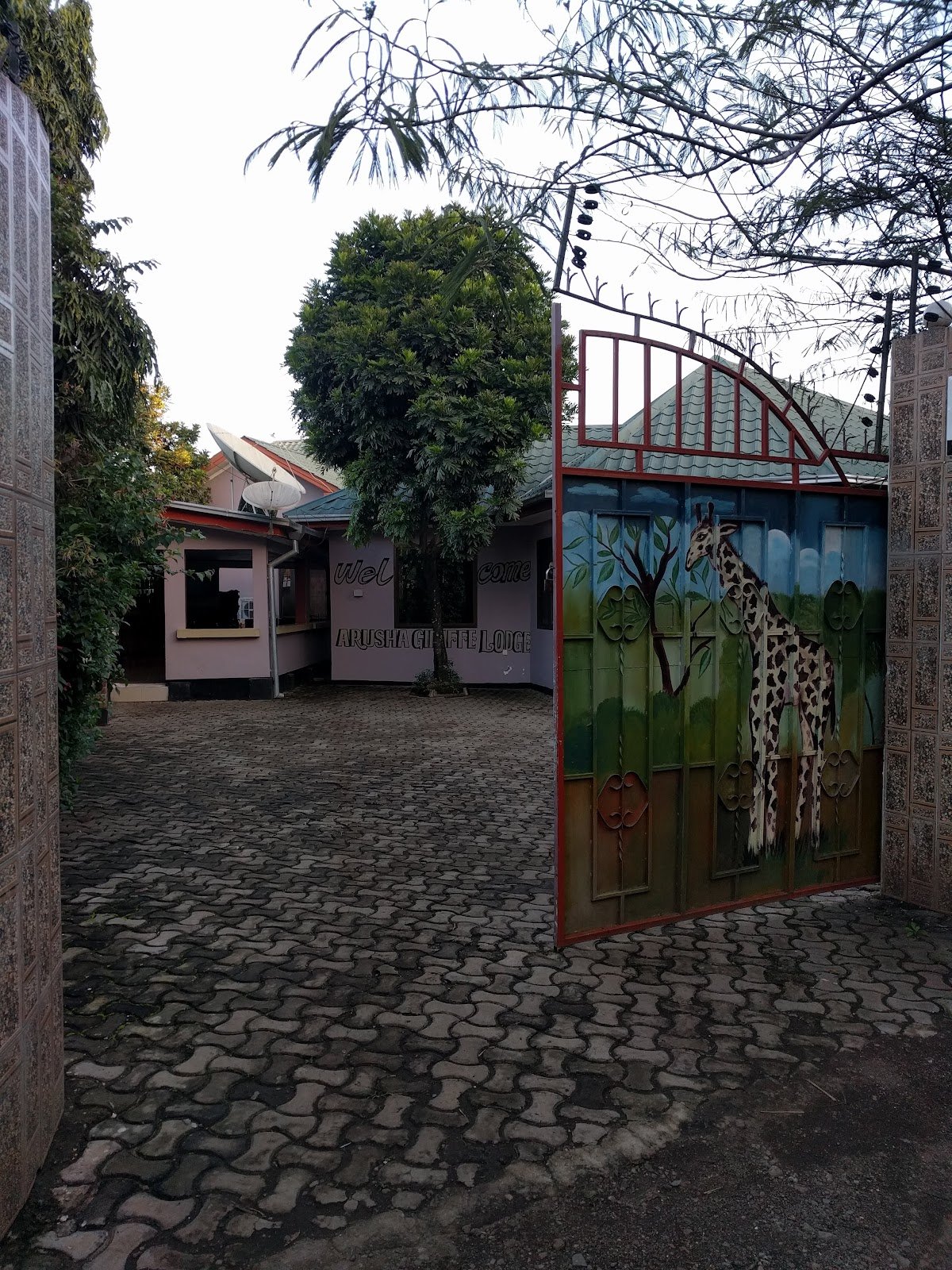 WHITE GIRAFFE LODGE photo 7